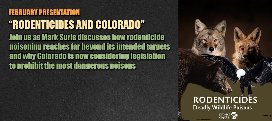 February 2026 Presentation