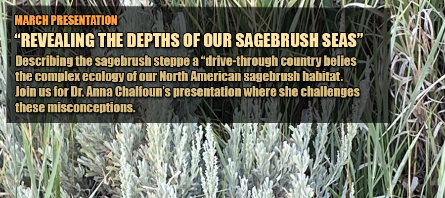 March 2026 Presentation