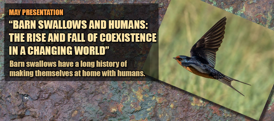 May 2026 Presentation