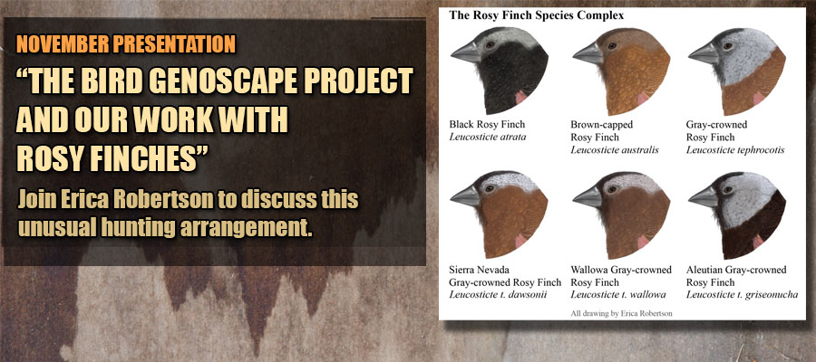 November 2026 Presentation