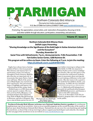 newsletter cover