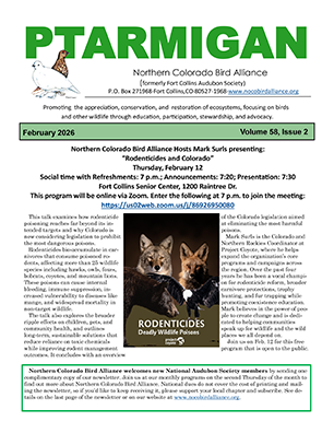newsletter cover
