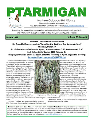 newsletter cover
