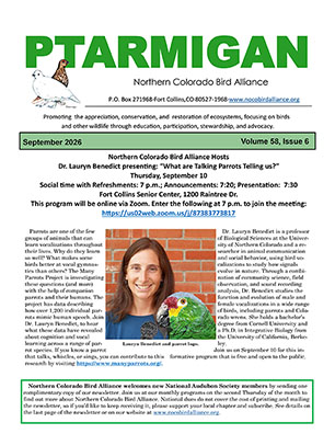 newsletter cover